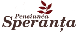 Pensiunea Speranta Sovata